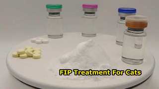 GS-441524 مورد API لعلاج FIP في القطط