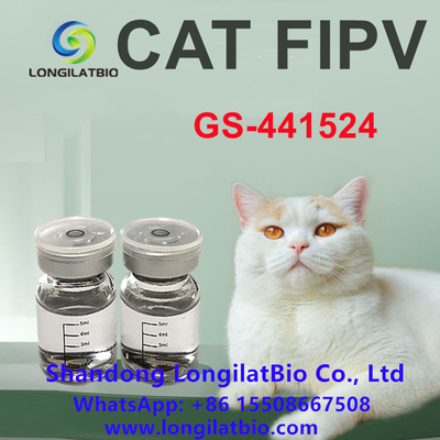 Anti FIP Remdesivir FIP Treatment Cat FIP ​​GS 441 20mg / ML