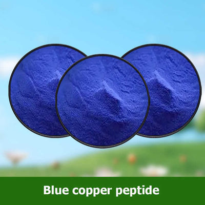 المكونات التجميلية CAS 49557-75-7 الببتيدات النحاسية الزرقاء  Powder