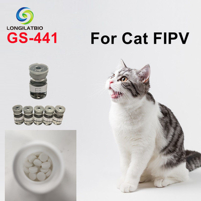 1191237-69-0 أدوية Fip للقطط 20 ملغ / كغ ريمدزفير وسيط