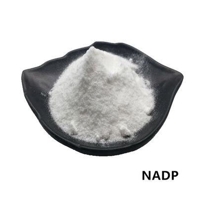 مسحوق CAS 1184-16-3 NADP 99٪ بيتا نيكوتيناميد Adenine Dinucleotide Phosphate