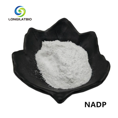 NADPH + مسحوق بيتا نيكوتيناميد Adenine Dinucleotide Phosphate